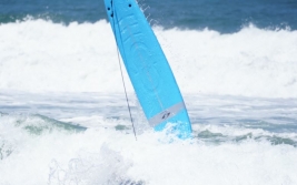 Better Surf Then Sorry (Insurance)